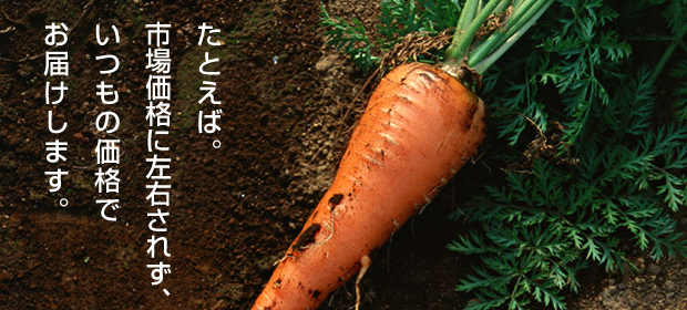 大阪愛農食品センター ホームページより人参の画像