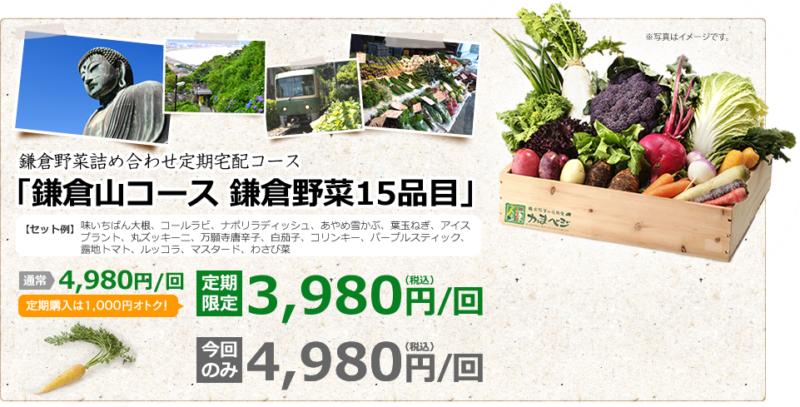 かまベジ定期宅配の野菜セット　箱に入ったたくさんの鎌倉野菜