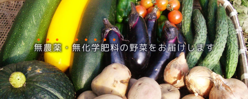 くまっこ農園ホームページより たくさんの野菜が並んだ画像 「無農薬・無化学肥料の野菜をお届けします」の文字