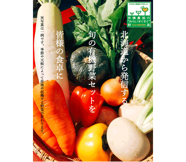 北海道有機市場の野菜セットの画像