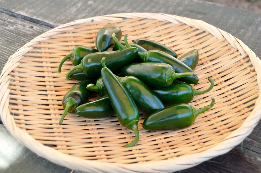 新鮮でおいしい福島県でおすすめの野菜宅配6つを徹底比較！元有機農家も太鼓判