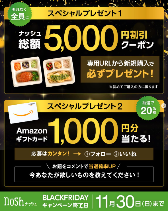 ナッシュ ブラックフライデー