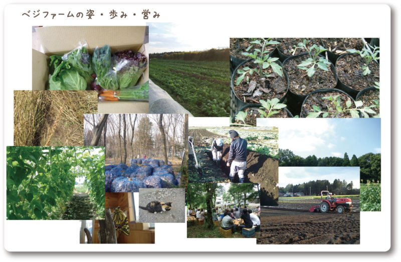 ベジファームホームページより 畑や野菜のスナップ写真