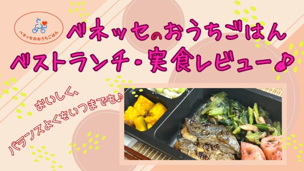 550円~/1食でコスパよし!225kcal基準のベネッセ・おうちごはん「ベストランチ」を実食レビュー[口コミ/評価]